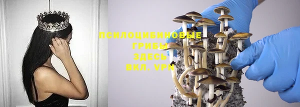 прущая мука Киренск