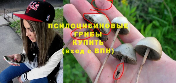 эйфоретик Киреевск