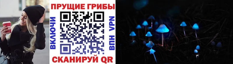 даркнет официальный сайт OMG ссылка Тогучин Галлюциногенные грибы Psilocybe